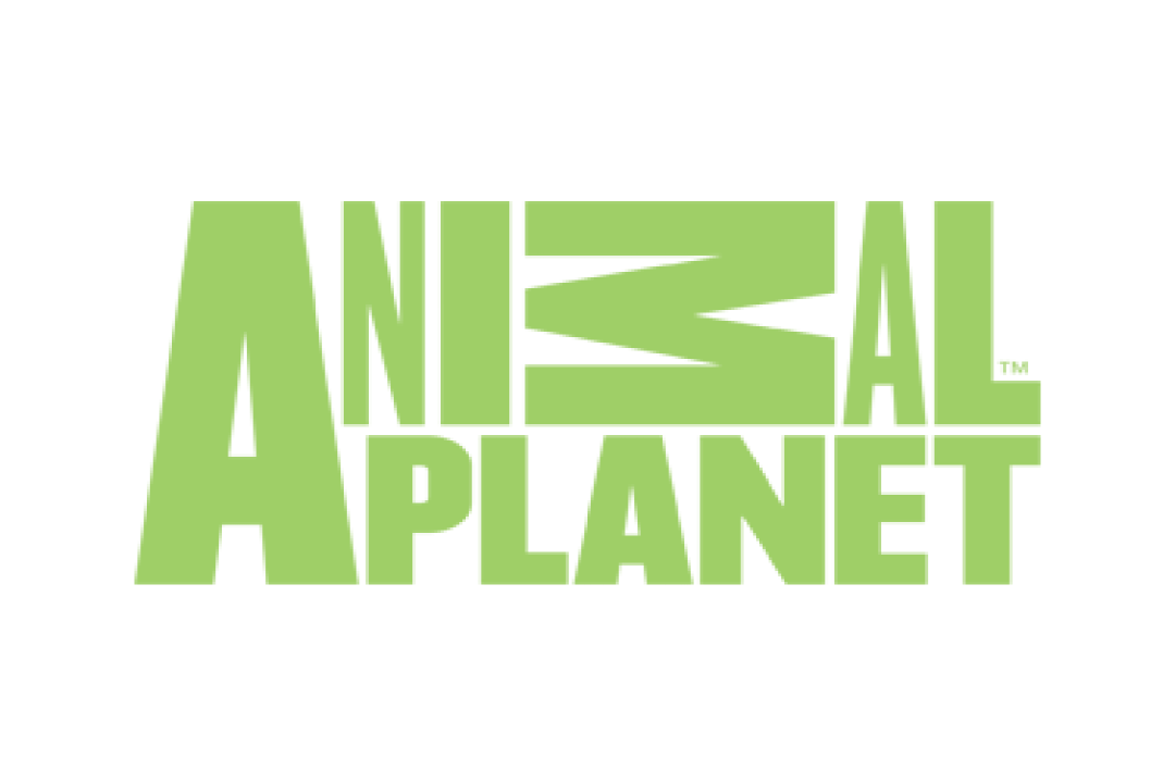 channel