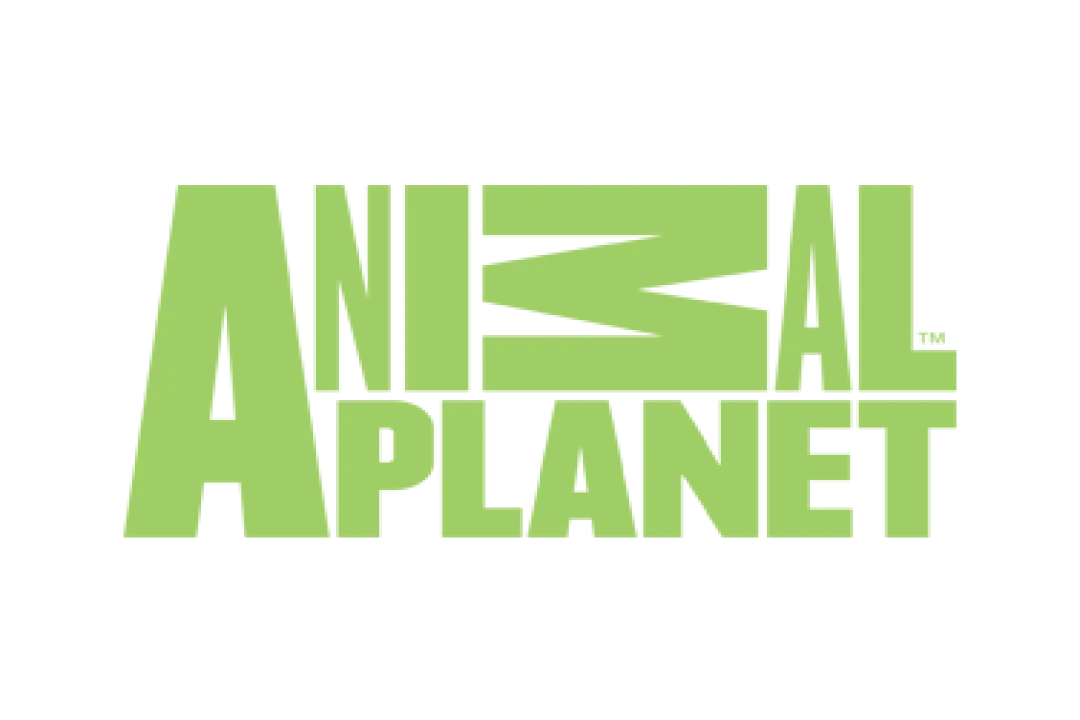 channel