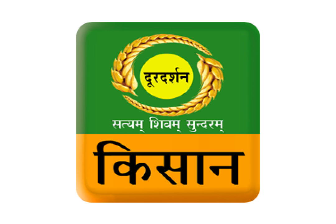 channel