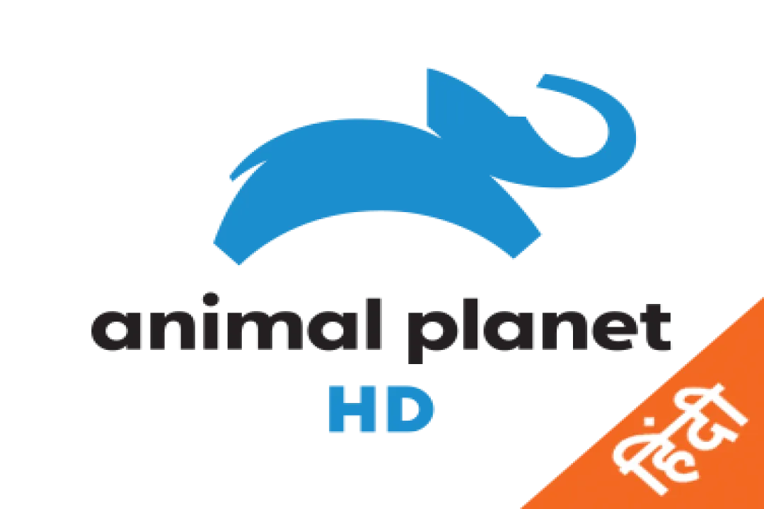 channel
